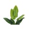 Monarch Specialties Artificial Plant, 59" Tall, Strelitzia Tree, Indoor, Faux, Fake, Floor, Greenery, Potted, Real Touch I 9545 - alternate 4